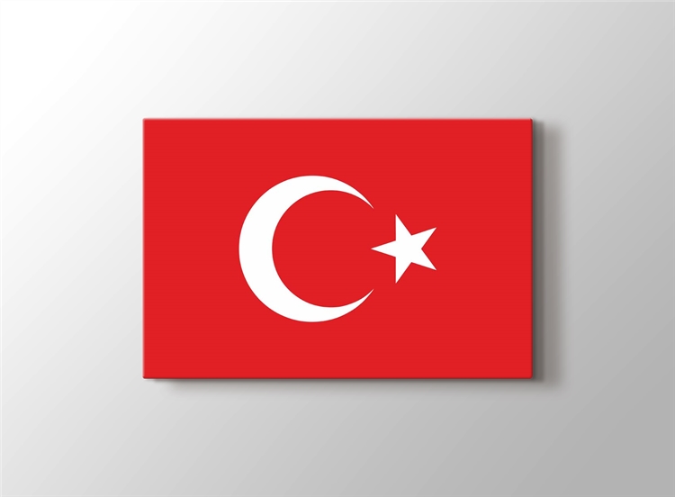 Turk Bayragi Tablosu Turkiye Tarihi Ve Ataturk Tablosu