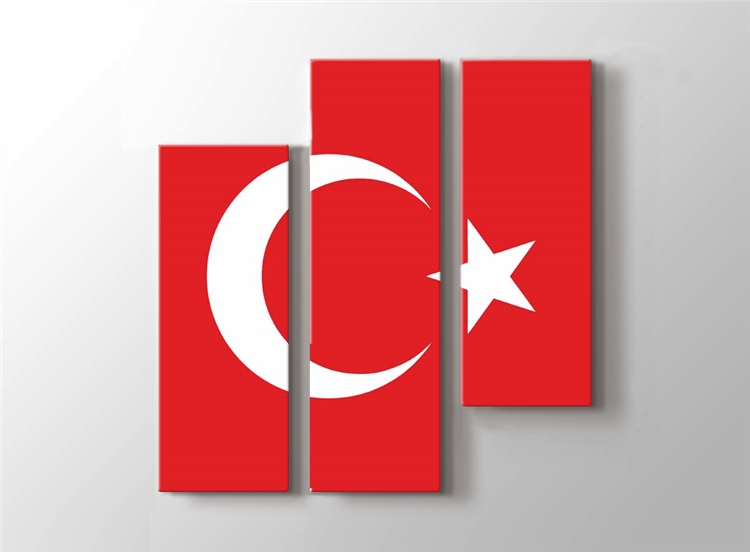Turk Bayragi Tablosu Turkiye Tarihi Ve Ataturk Tablosu