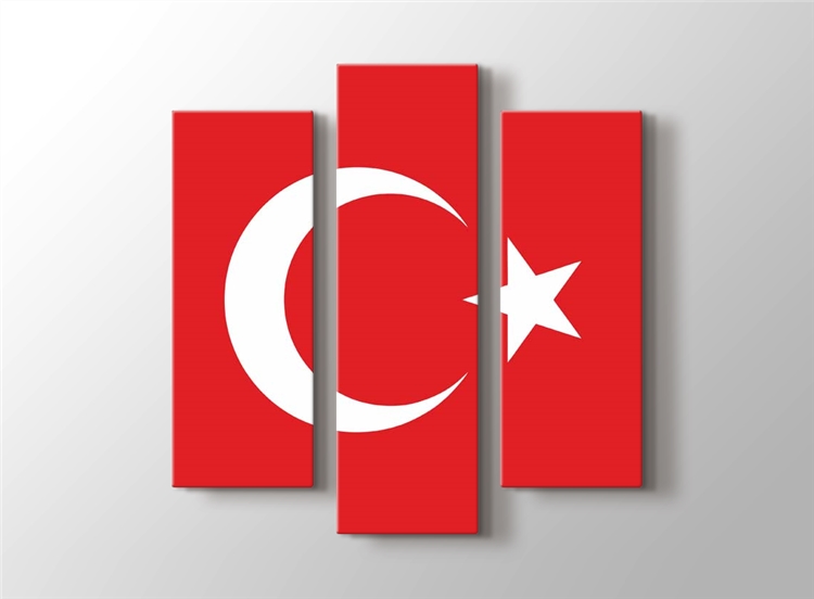 Turk Bayragi Tablosu Turkiye Tarihi Ve Ataturk Tablosu