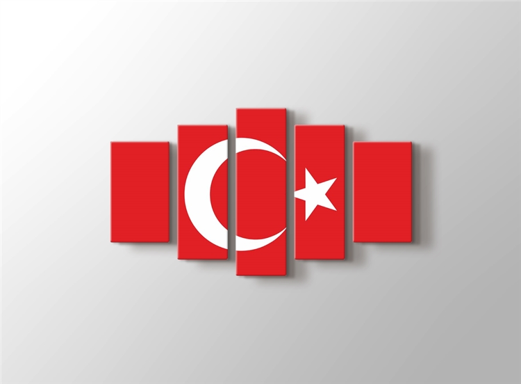 Turk Bayragi Tablosu Turkiye Tarihi Ve Ataturk Tablosu
