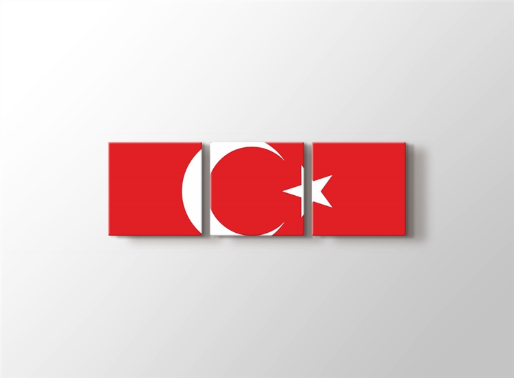 Turk Bayragi Tablosu Turkiye Tarihi Ve Ataturk Tablosu