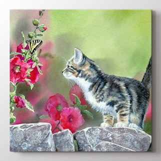 At Tablolari At Resimli Tablolar Kedi Kelebek Hayvan Tablolari