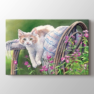 At Tablolari At Resimli Tablolar Kedi Kelebek Hayvan Tablolari